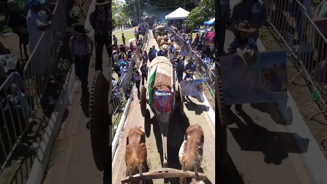 Desfile dos Carros de Bois em Trindade na Romaria 2025 - Trindade Goiás
