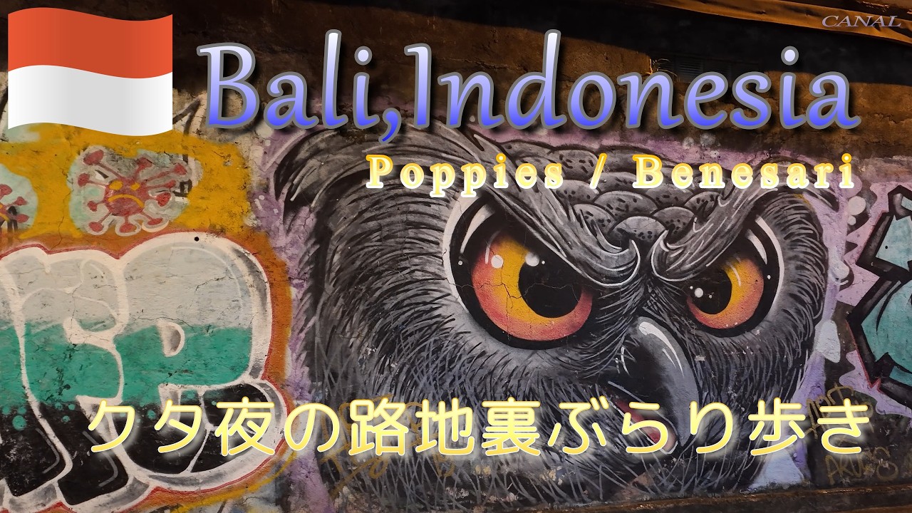 【バリ島】夜のクタエリア路地裏☆ぶらり歩き【 Poppies Lane Kuta Bali,Indonesia】インドネシア/バリ島