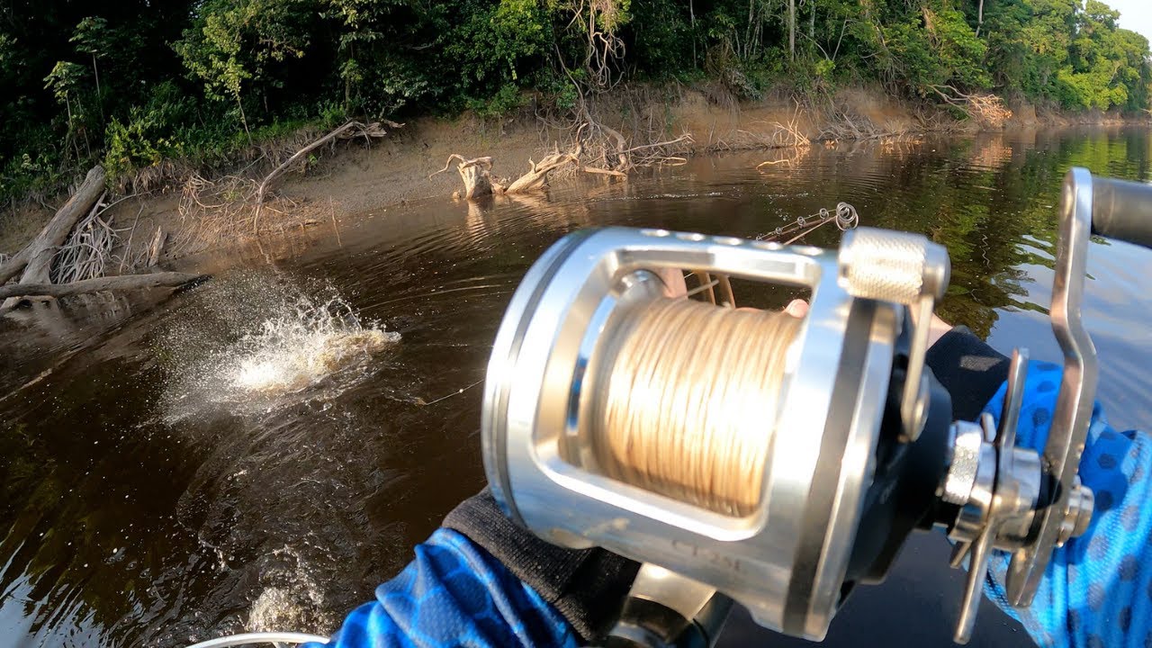PESCARIA DE PIRARARA NO RIO NEGRO - AMAZONAS!!
