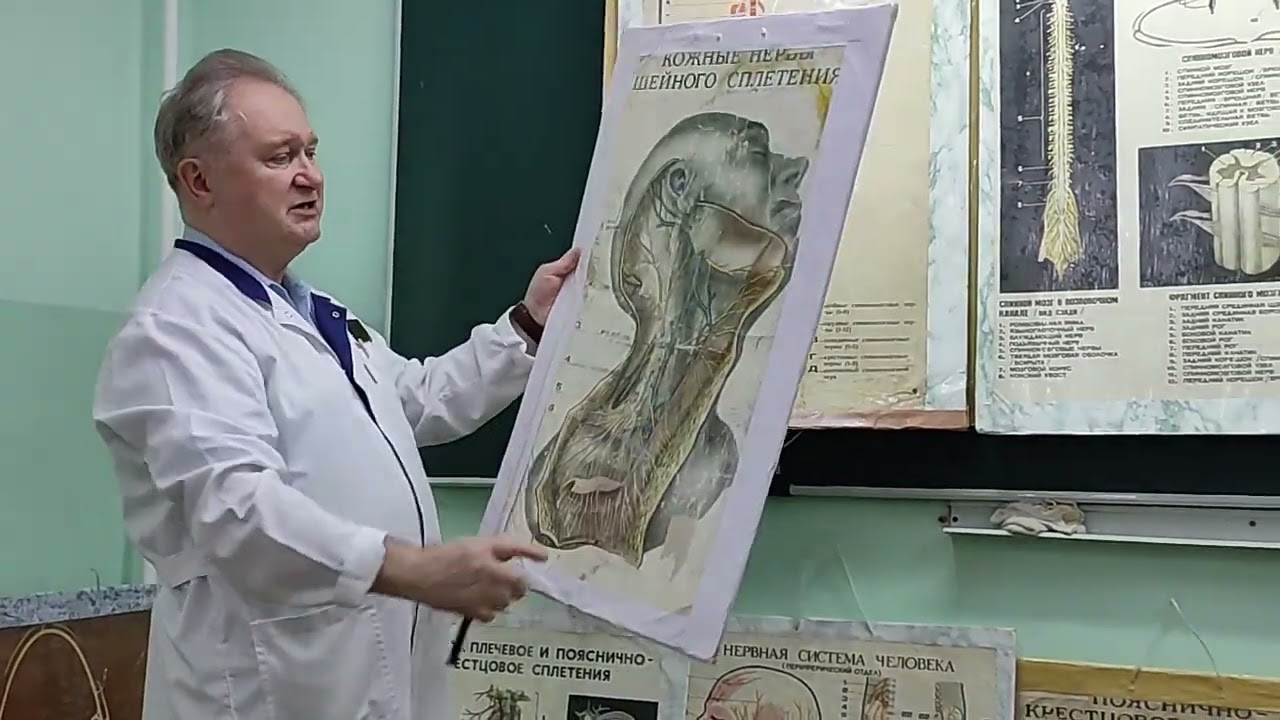 Лекция 