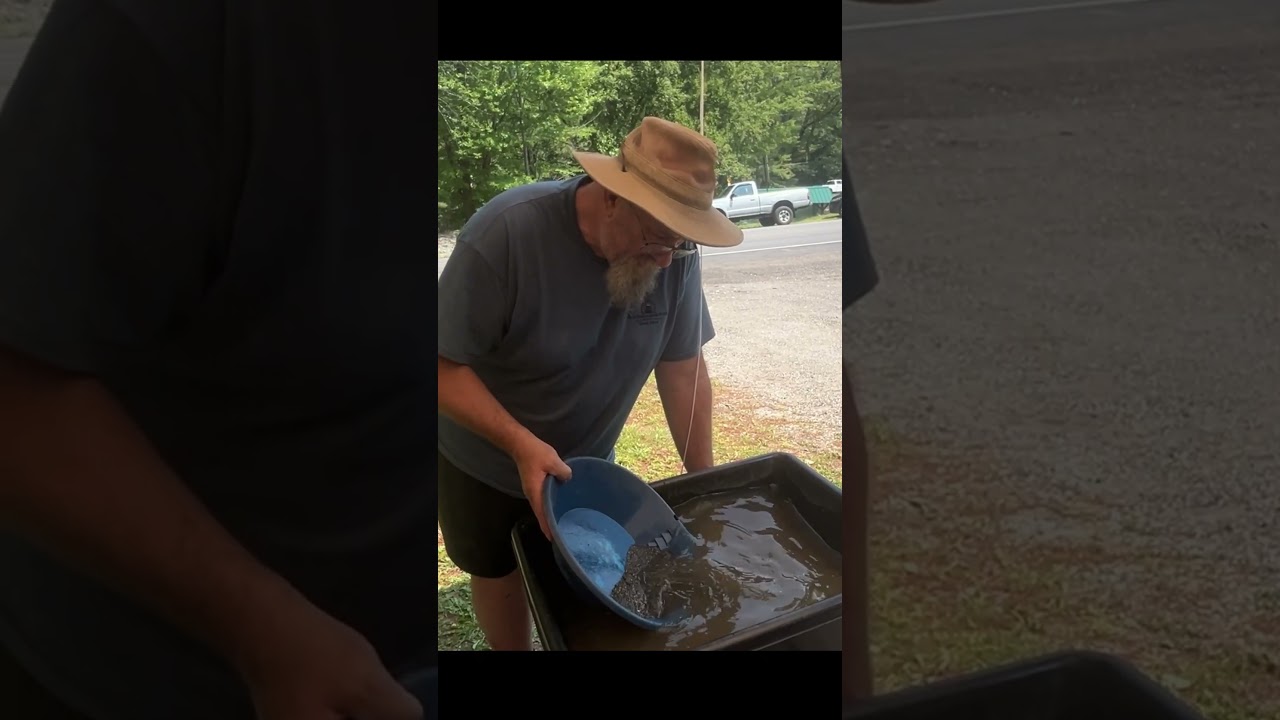 Gold in Nova Scotia Beach Sand!!  #goldpanning #goldprospecting #shorts #gold