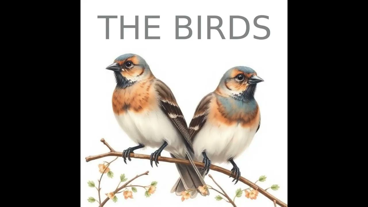 THE BIRDS - A Simple Song for Kids