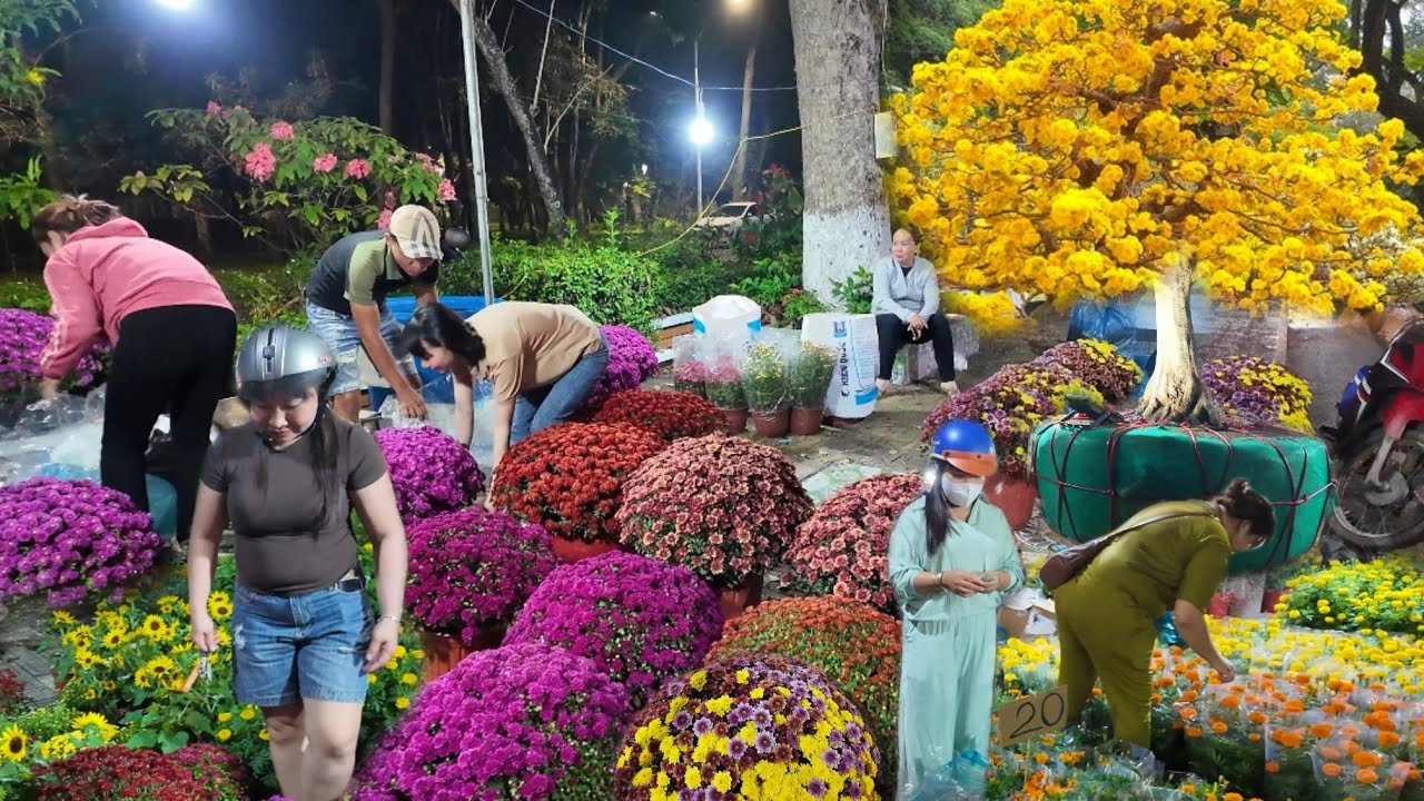TẤP NẬP SÔI NỔI CHỢ HOA TẾT SA ĐÉC 2026 MAI LẠ BÙNG NỔ