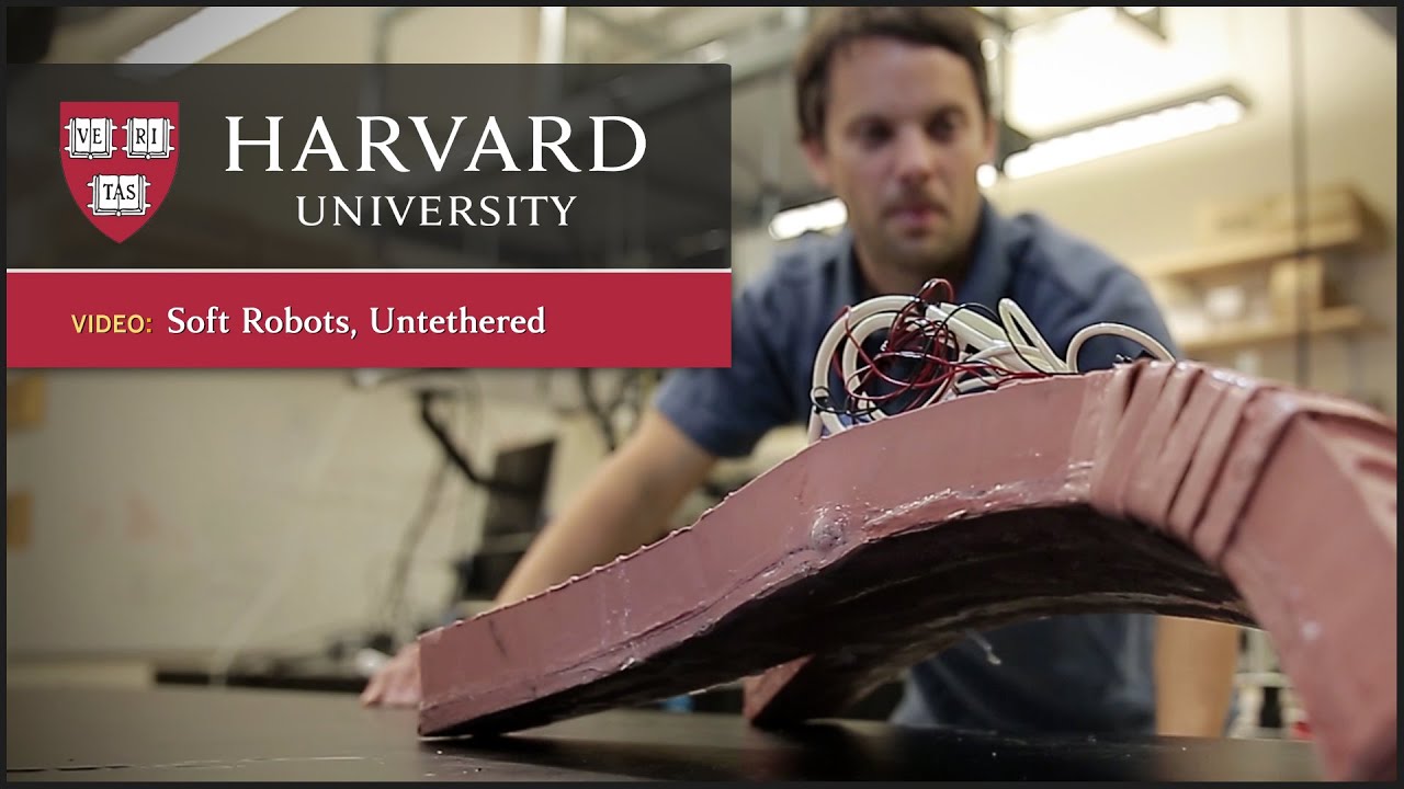 Untethered soft robot