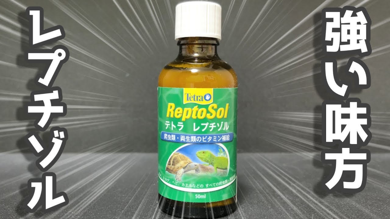 爬虫類・両生類のビタミン補給に便利な液体状の添加剤を紹介します！【レプチゾル】