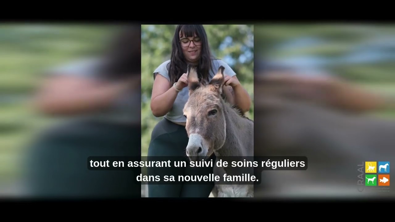 Rencontre avec le refuge les 3 dindes