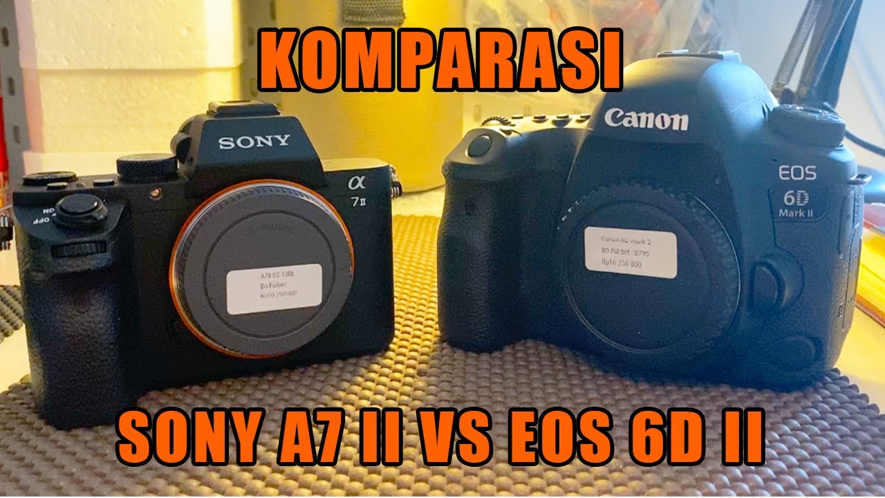 Review Kamera Canon 6D Mark II vs Sony A7II