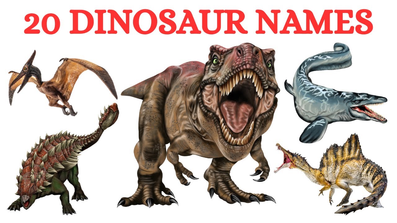 Dinosaurs Name | Learn Dinosaur Names | T-Rex, Triceratops & Spinosaurus | 