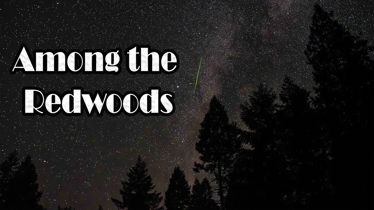 Nightscape Photography Among the Ancient California Redwoods