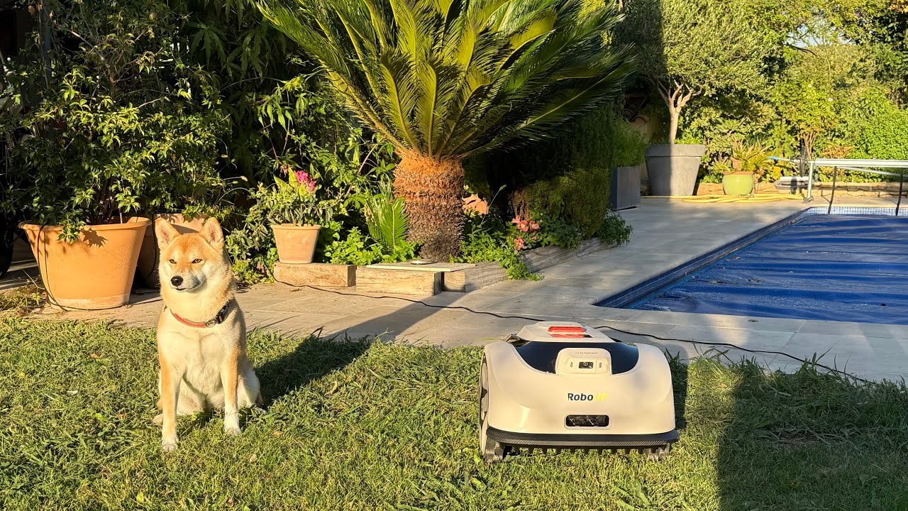 CE ROBOT TONDEUSE EST UNE RÉVOLUTION POUR SON PRIX ! ROBOUP RACCOON 2 SE ✔️