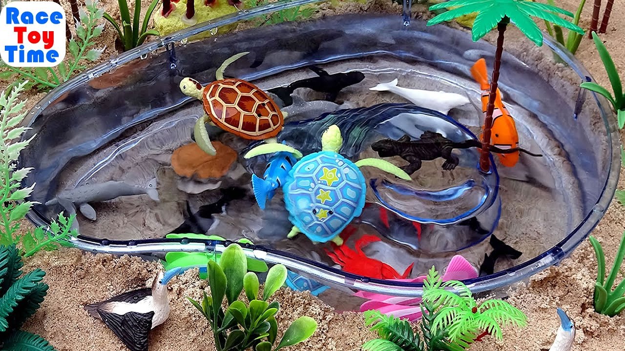Let's Learn Sea Animal Names! - Fun Sea Animals Toys Video