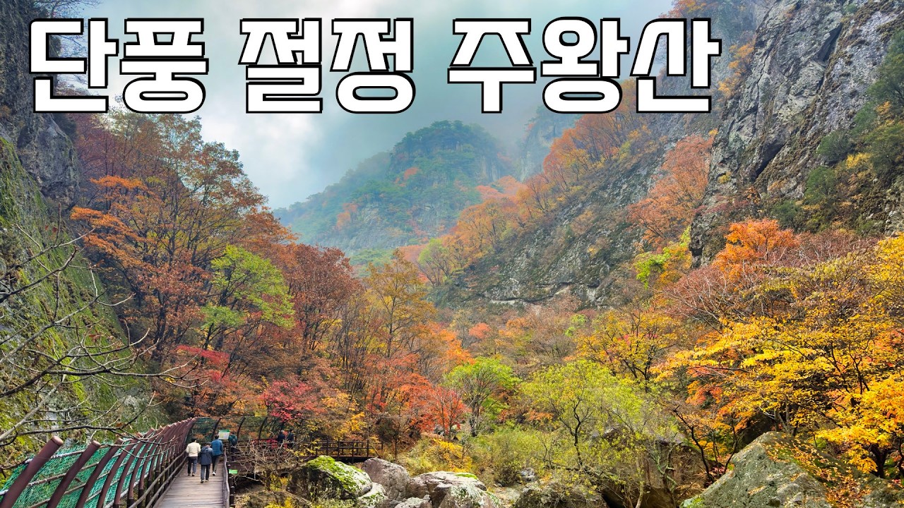 당신이 모르는 주왕산 단풍🍁의 진면목 | 올해는 여기가 최고입니다.
