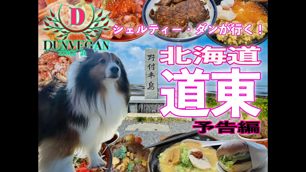 北海道・道東を巡ります【道東犬連れ車中泊旅】犬連れの旅
