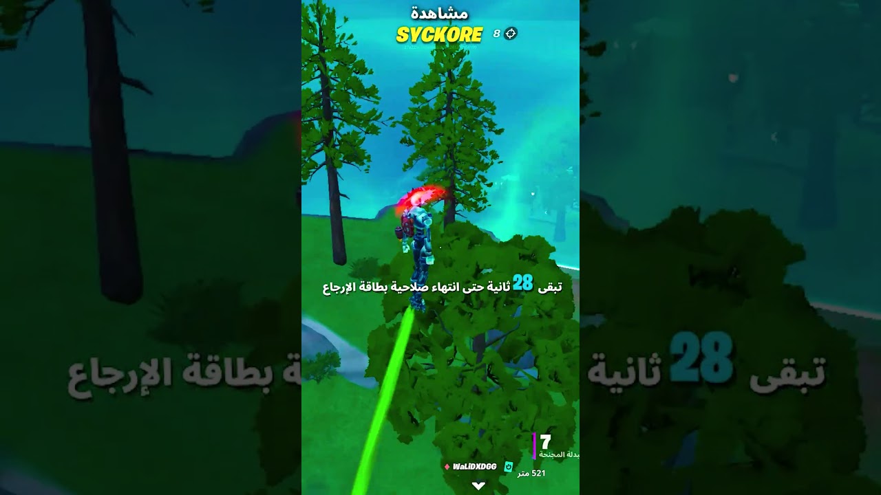 short fortnite
