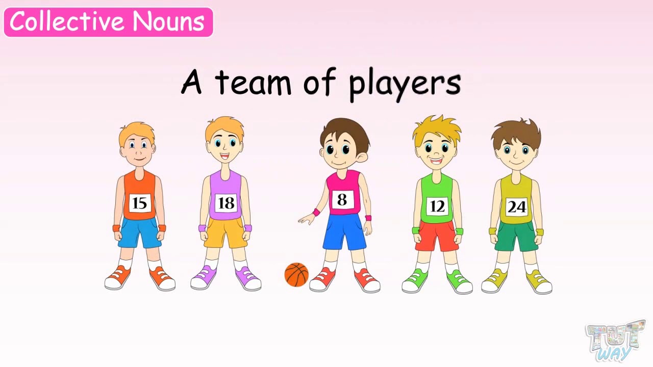 Collective Nouns | English Grammar | Grade 2 & 3 | Tutway