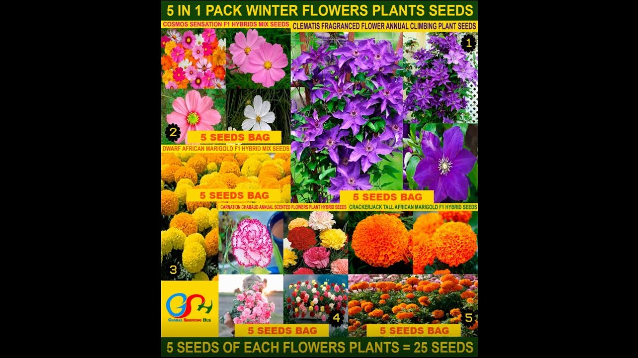 WINTER FLOWERS PLANTS SEEDS PACK (5 IN 1)