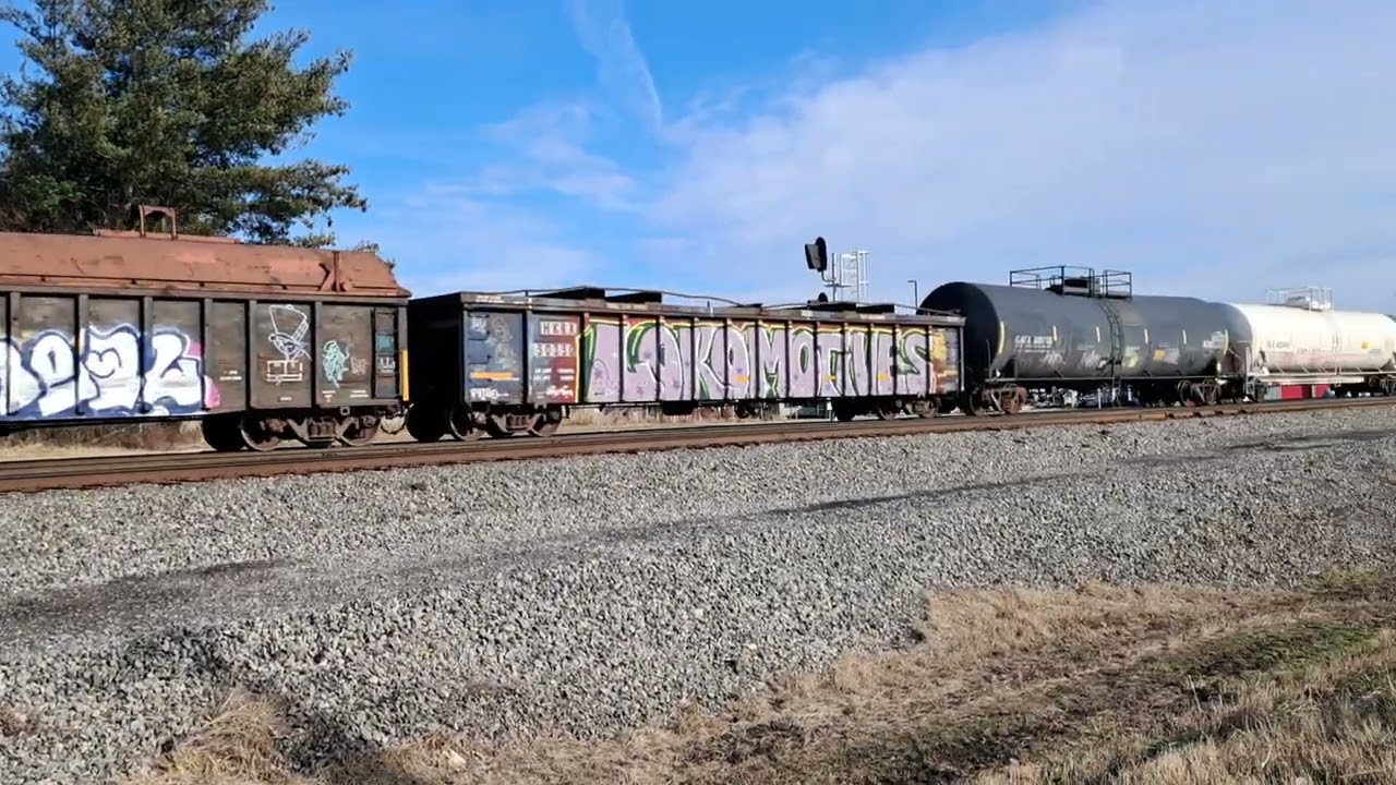 NS Long Mixed Freight Mid DPUs & Horn Salute.