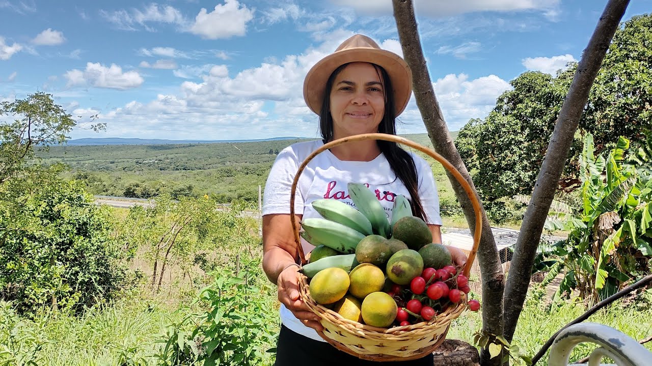 Colhendo frutas da época 🥭🍅