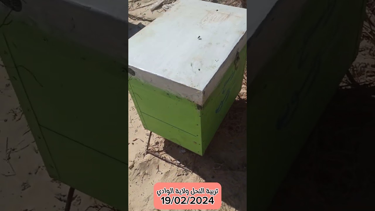 تحويل خلية لنستروث إلى الخلية البيضاوية.واخذ طرد من خلية قوية قبل تحويلها إلى البيضاوية.