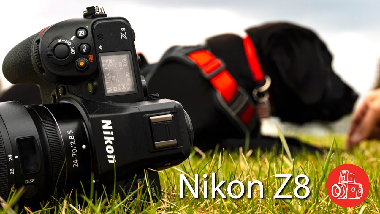 Почему все не перестают говорить о Nikon Z8!