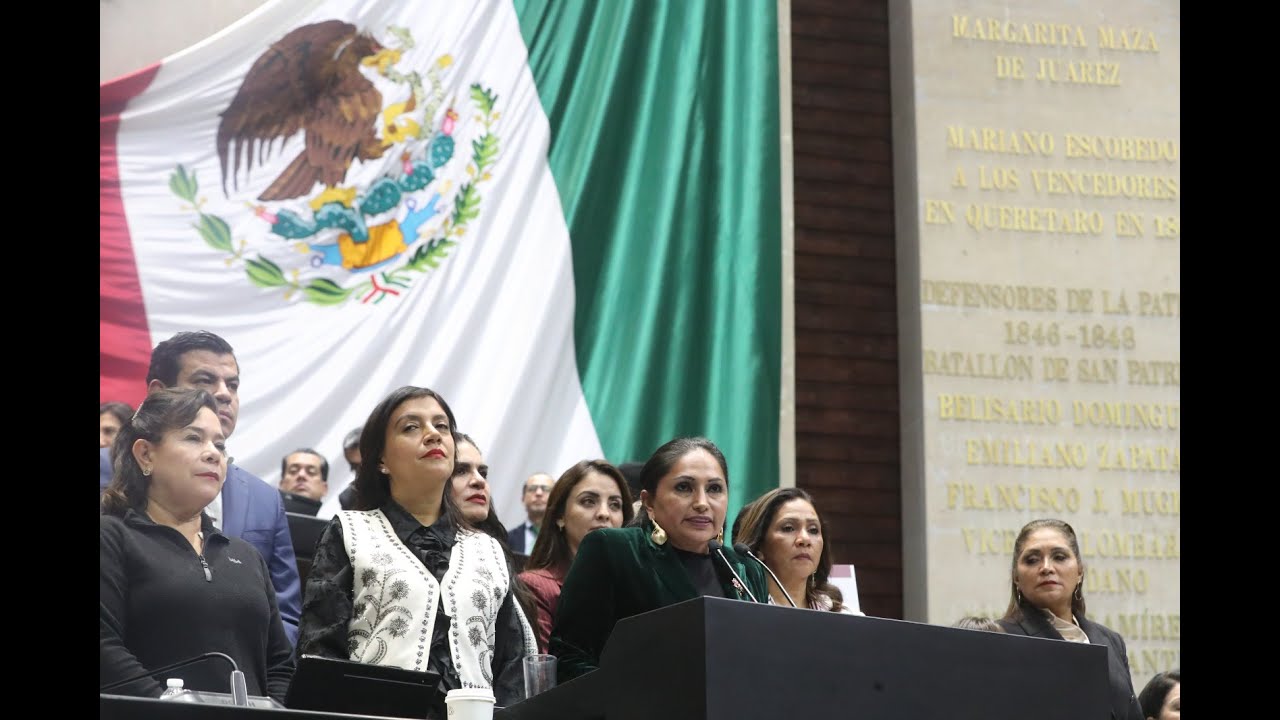 Dip. Lucero Higareda Segura (MORENA) / Ley de Impuestos Generales de Importación y de Exportación