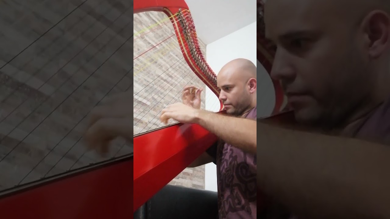 Todo Contigo Arpa