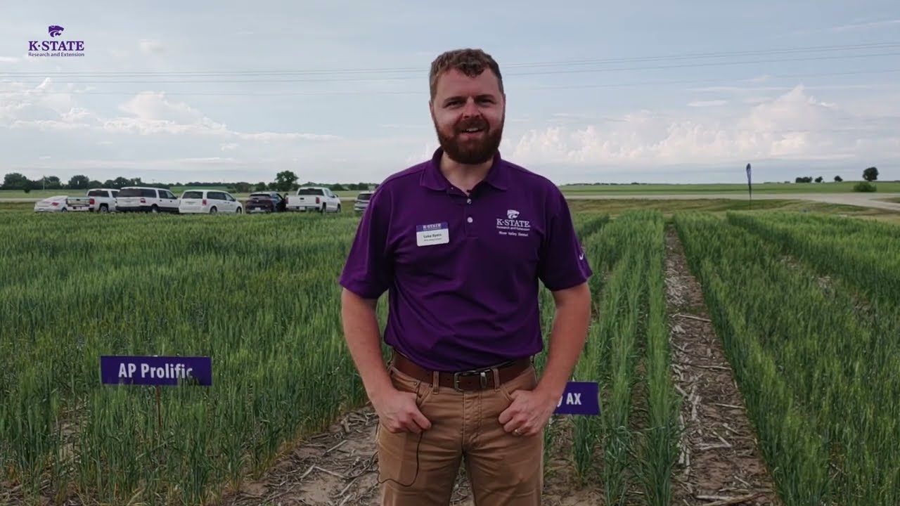Wheat Test Plot Tour in Belleville