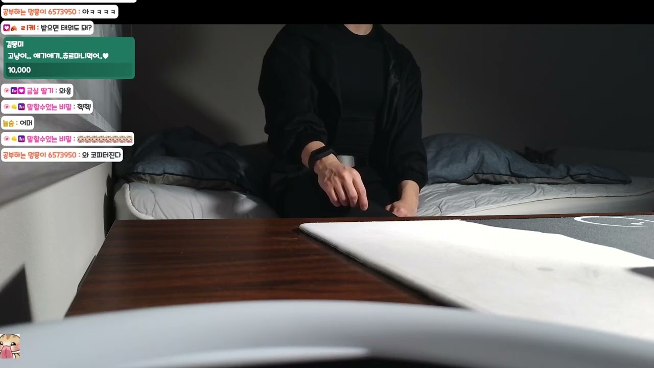 [하곰루 다시보기] 26년 2월 19일 그 비스크돌은 사랑을 한다 2기 상영회