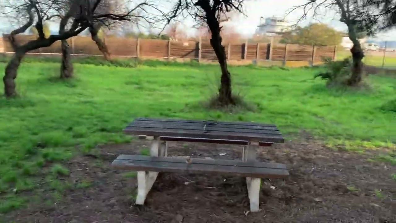 83 400 HYERES, les palmiers, les Salins