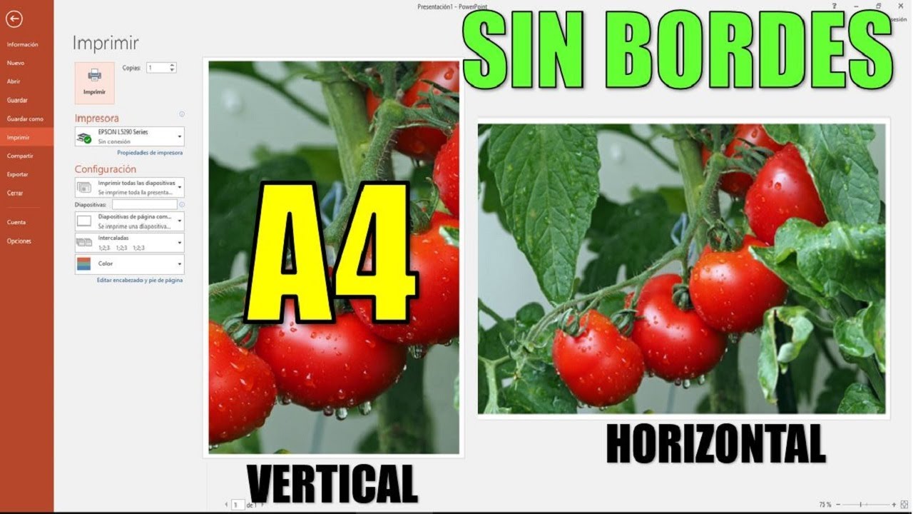 Como imprimir en A4 en POWERPOINT HORIZONTAL VERTICAL imprimir DIAPOSTIVAS SIN BORDES TODA LA HOJA