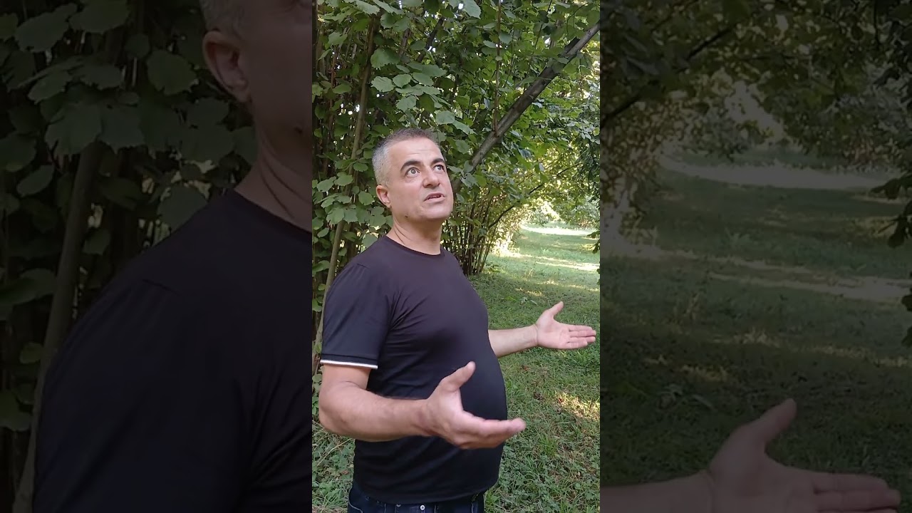 Zaqatala yuxarı çardaxlar torpaq satılır