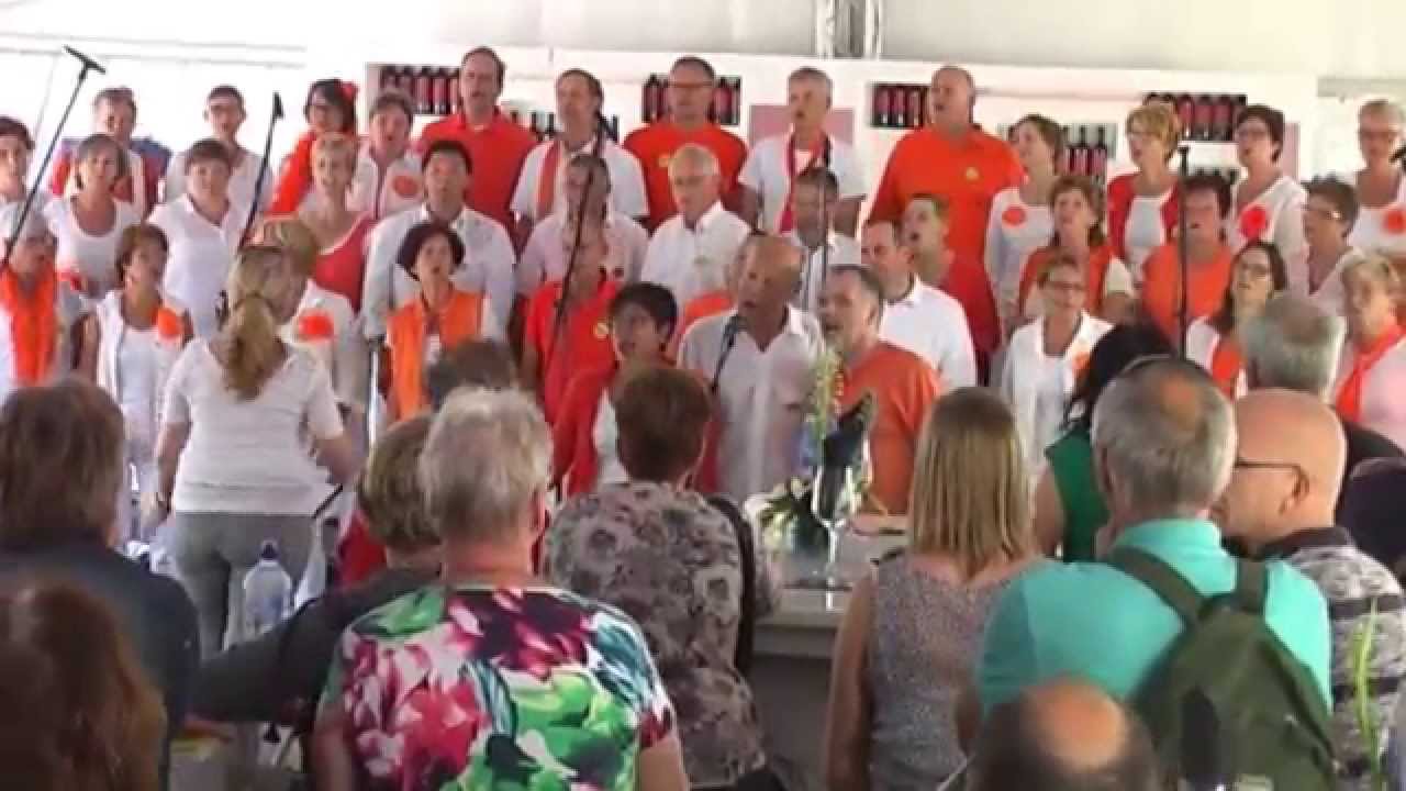 Fantastisch Korenfestival Amusing Hengelo 2015