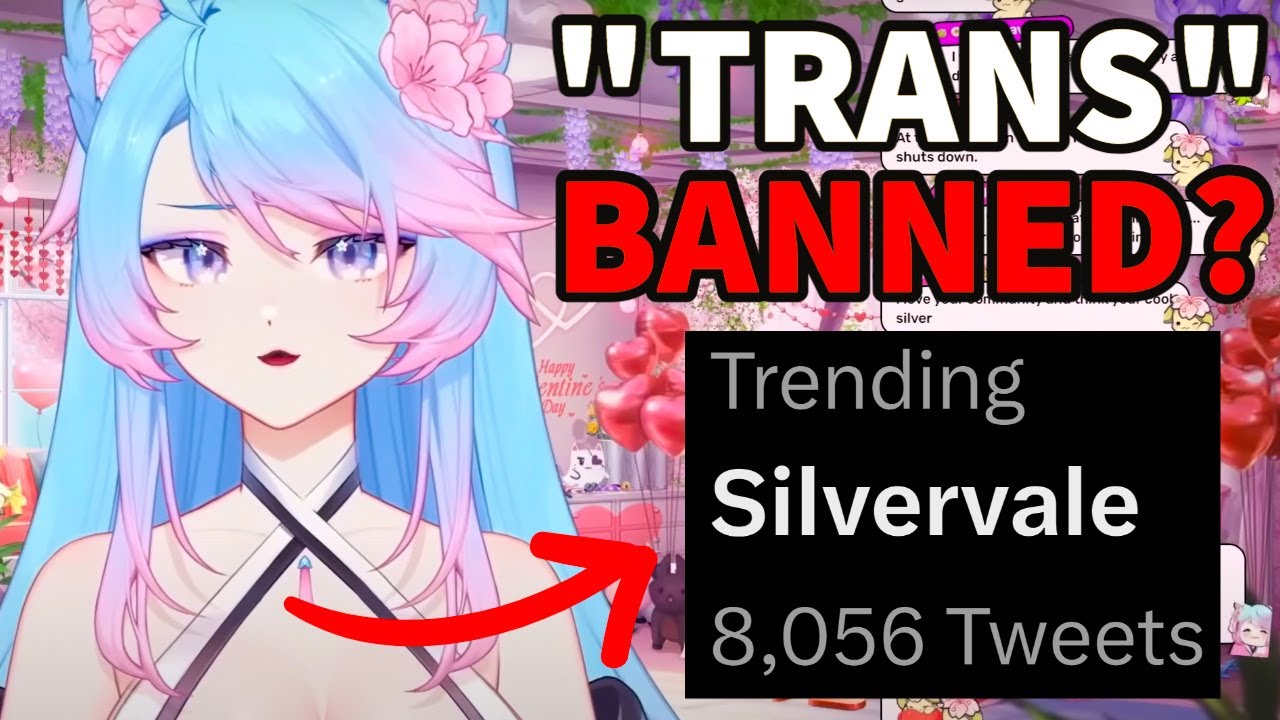 We Need To Talk About The Silvervale Harassment