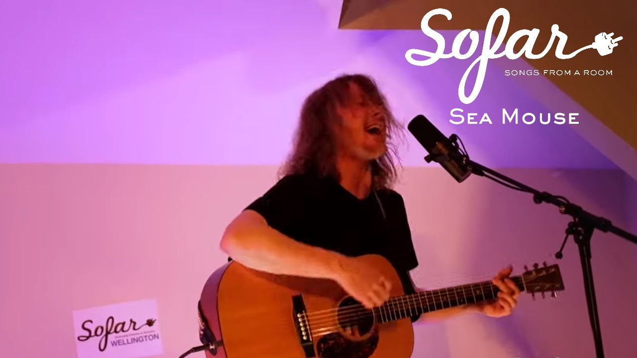 Sea Mouse - Tropical Fish | Sofar Wellington