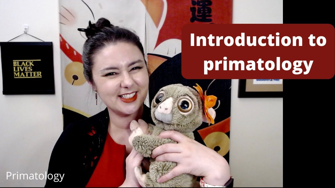 Introduction to primatology