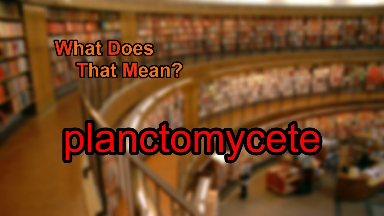 What does planctomycete mean?