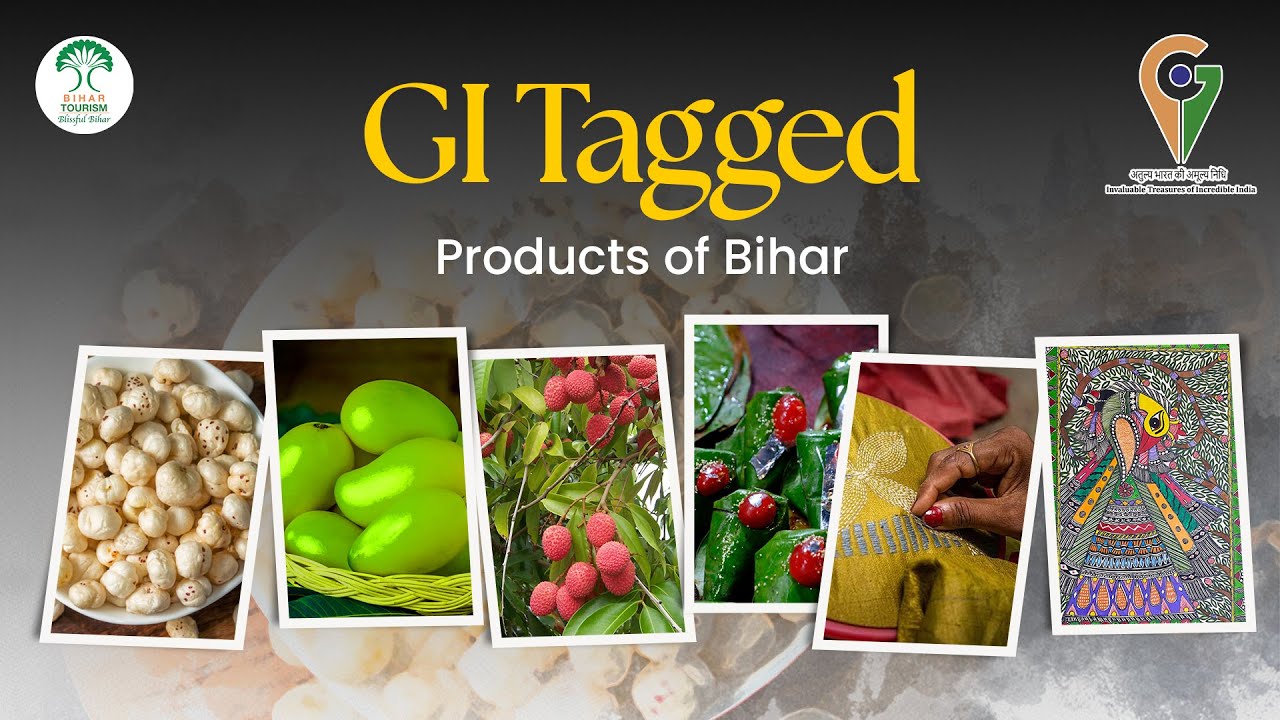 Bihar&rsquo;s Pride: Exploring the Famous GI Tags | Shahi Litchi, Madhubani Art & More
