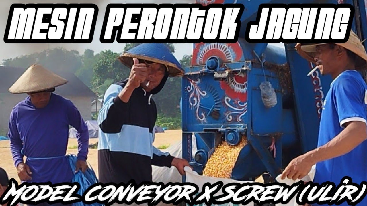 new innovation corn thresher machine uses a conveyor and screw | perontok jagung conveyor+ulir/screw