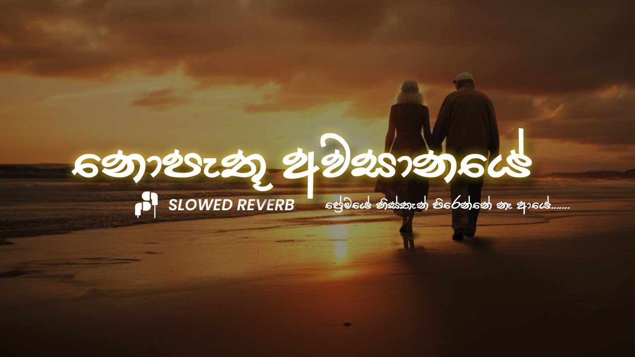 Nopathu Awasanye –(ප්‍රේමයේ හිස්තැන්) Premaye Histhan | Udesh Manoj | Song 2025 #slowedandreverb