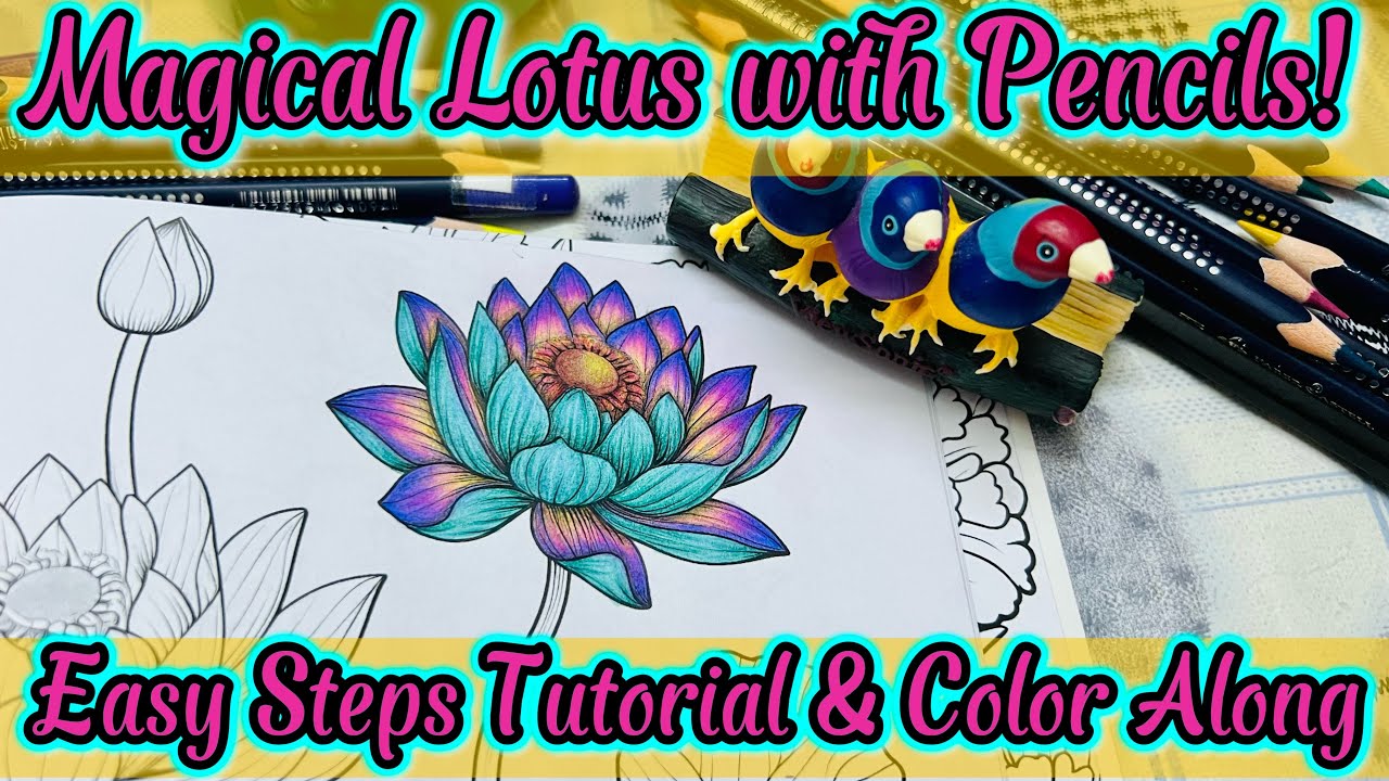 Vibrant Pencil Blending Techniques for Beginners | Lotus Glow Effect Trick | Easy Steps Tutorial 
