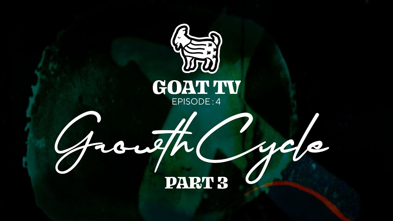 Growth Cycle Part 3