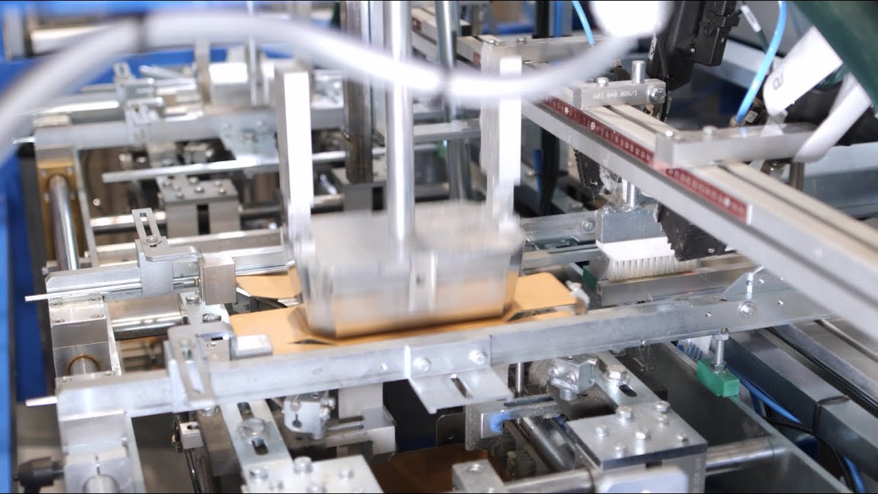 Sarco Packaging Teco FT4 punnetmachine voor het vormen van punnets vanuit plano's
