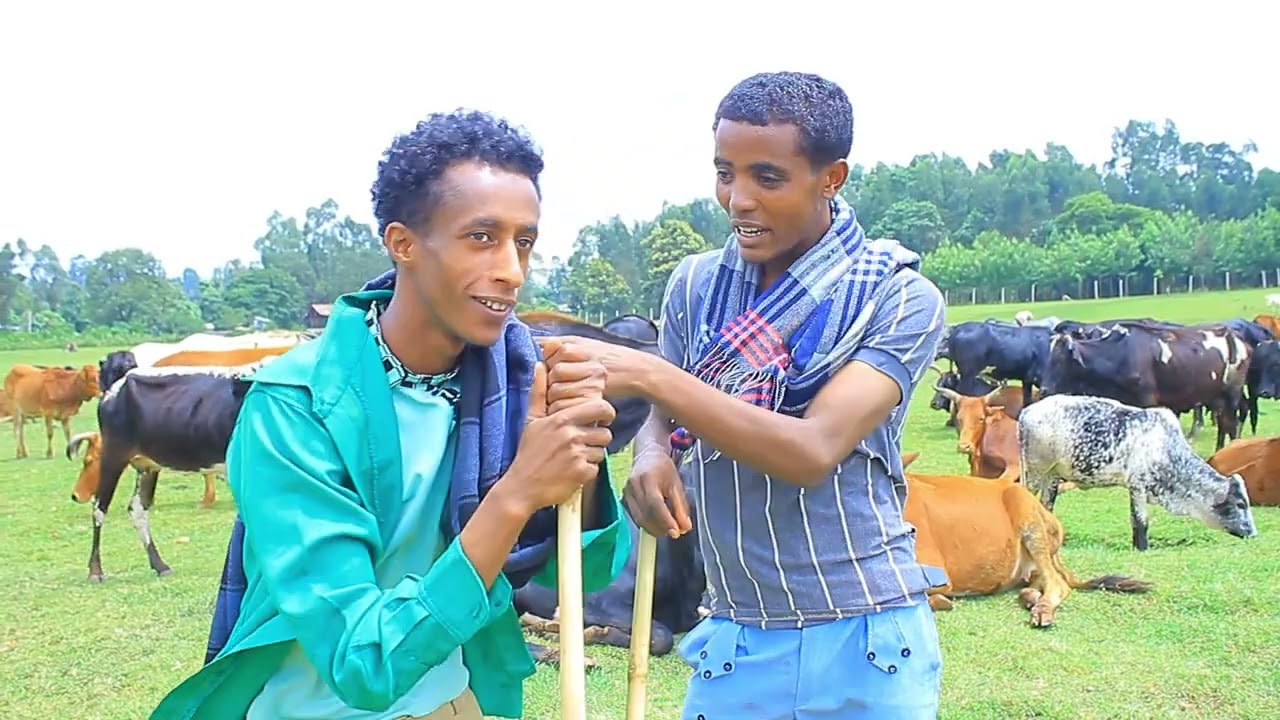 ፍቅርን ብዬ እንጅ አዲስ የገጠር ድራማ