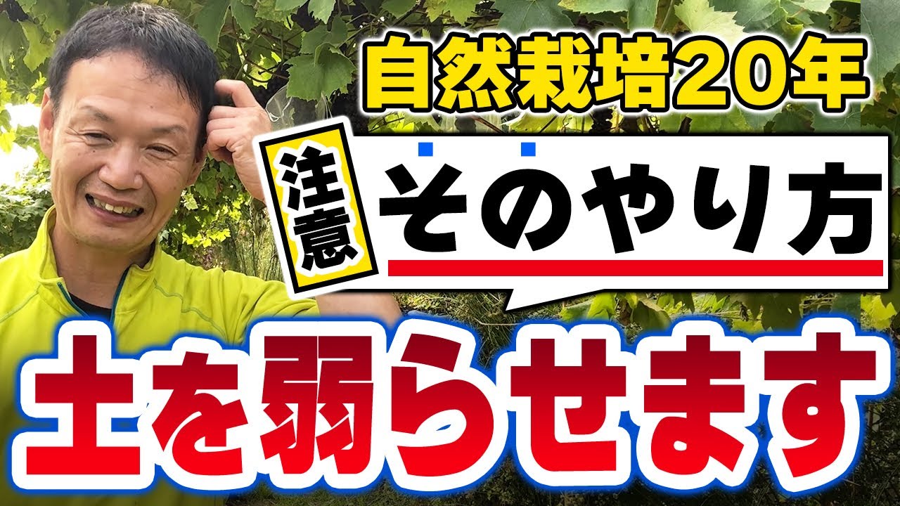 【自然栽培320】やり方を間違えると、土が弱るので注意が必要ですよ🌈