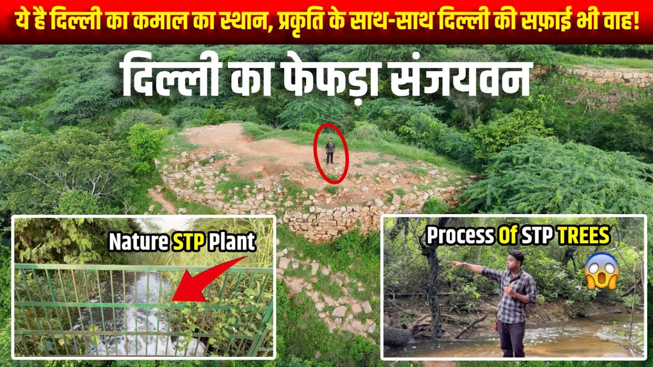 Exploring Sanjay Van Delhi | Hidden Forest Walk | The Oxygen Cylender Of Delhi | Brothers Enfield