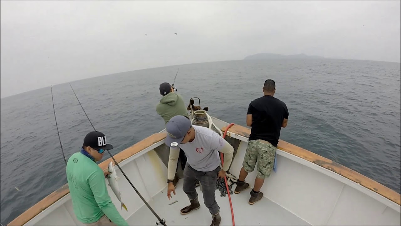 9/4/2017 Mission Belle Yellowtail Fishing