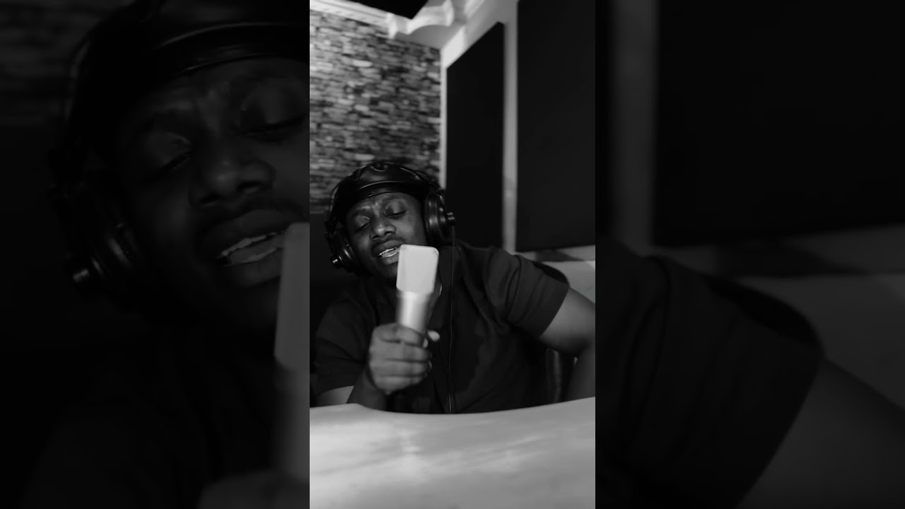 Rayvanny - Bye bye Raila Odinga (Song Verse Clip) 