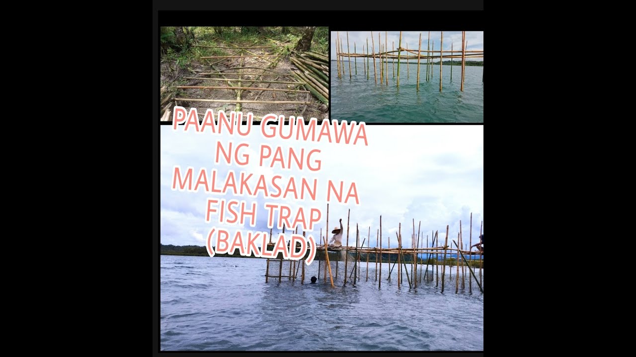 PAANU GUMAWA NG PANG MALAKASAN NA FISH TRAP (BAKLAD) Magandang Pang hanap Buhay!!