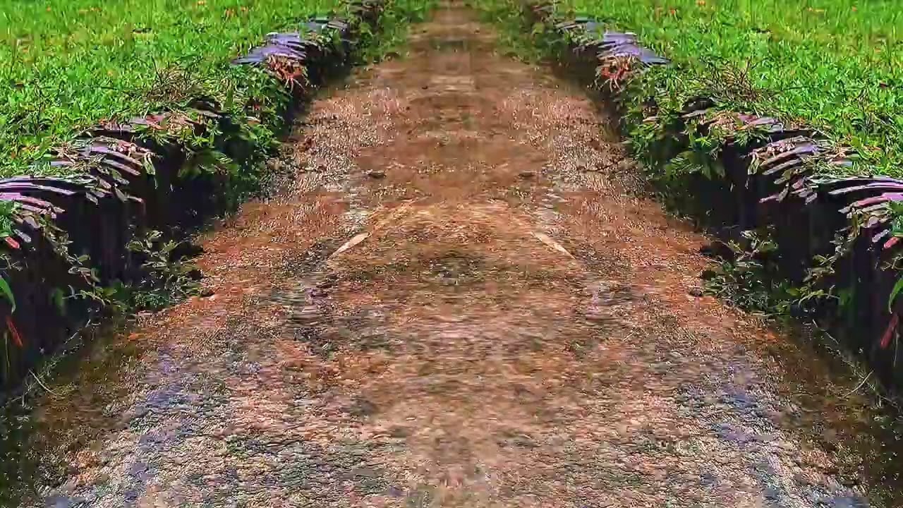 🌧️ Rainwater Flowing Down a Quiet Country Path | 1 Hour Deep Sleep ASMR