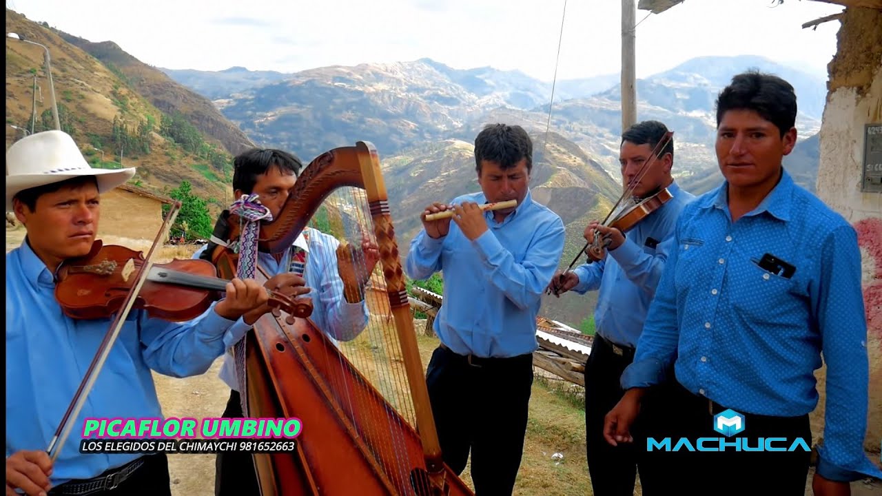 PICAFLOR UMBINO Y LOS ELEGIDOS DEL CHIMAYCHI EN SICSIBAMBA